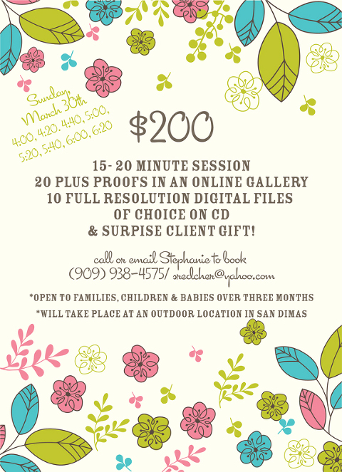 spring mini ad