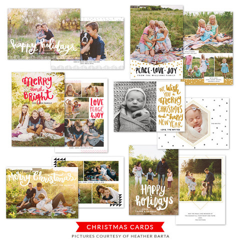 bird bundle 3