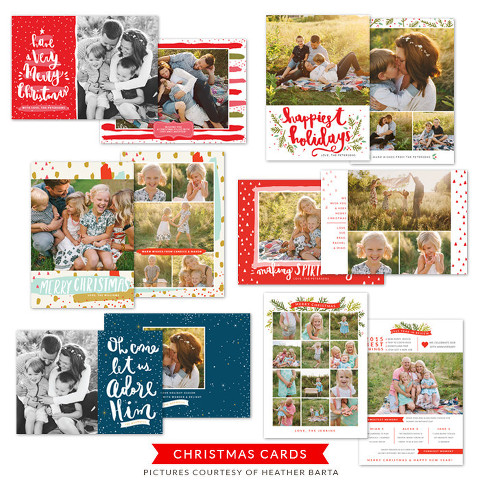 bird card bundle 2